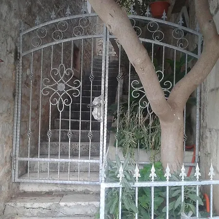 Gorka * Povlja (Brac)